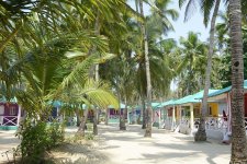 Отель Cuba Beach Hut 2*