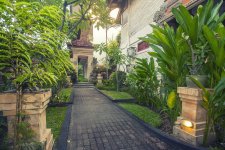 Отель Seminyak Paradiso 3*