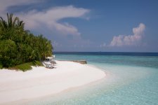 Отель Coco Palm Bodu Hithi 5*