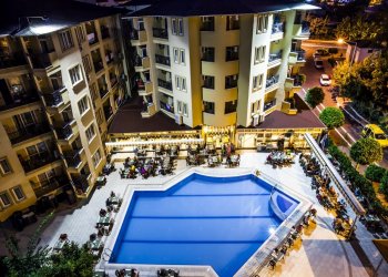 Kleopatra Royal Palm